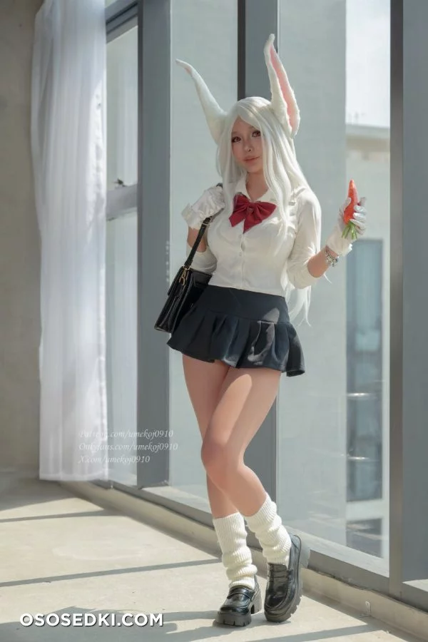 Umeko J - Mirko Boku no Hero - 6