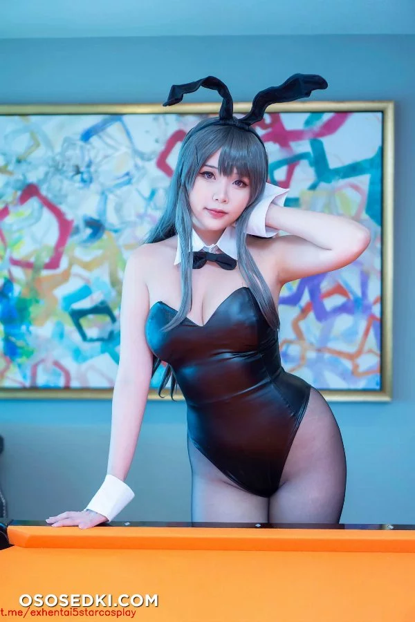 Hana Bunny -  Mai Sakurajima Aobuta - 3