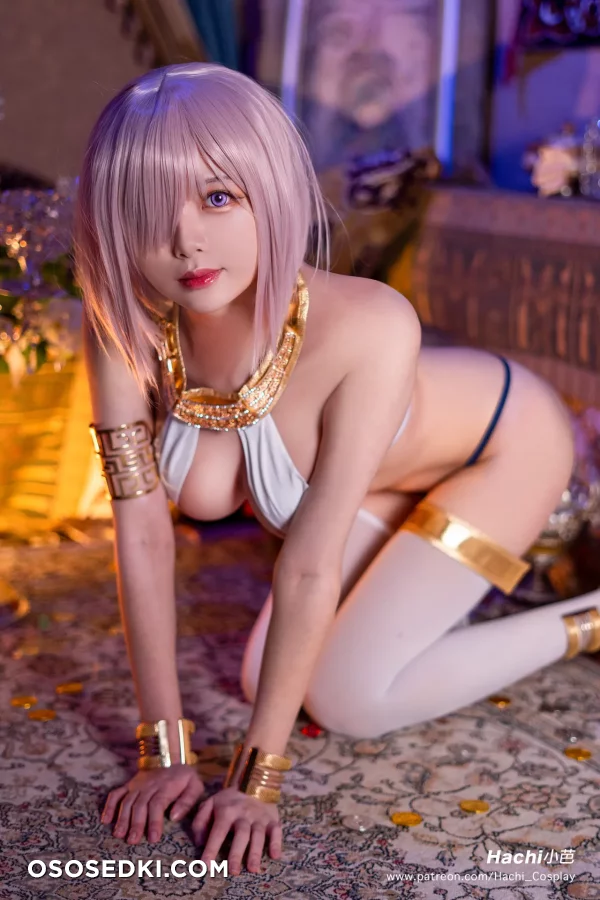 Hachi - Shielder  Mash Kyrielight - Fate Grand Order - 9
