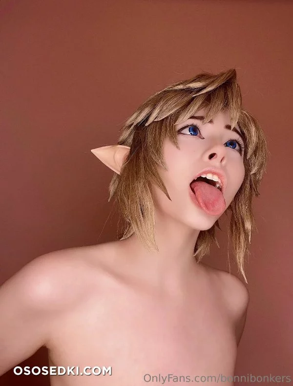 Bonnie Bonkers - Link - The Legend Of Zelda - 7