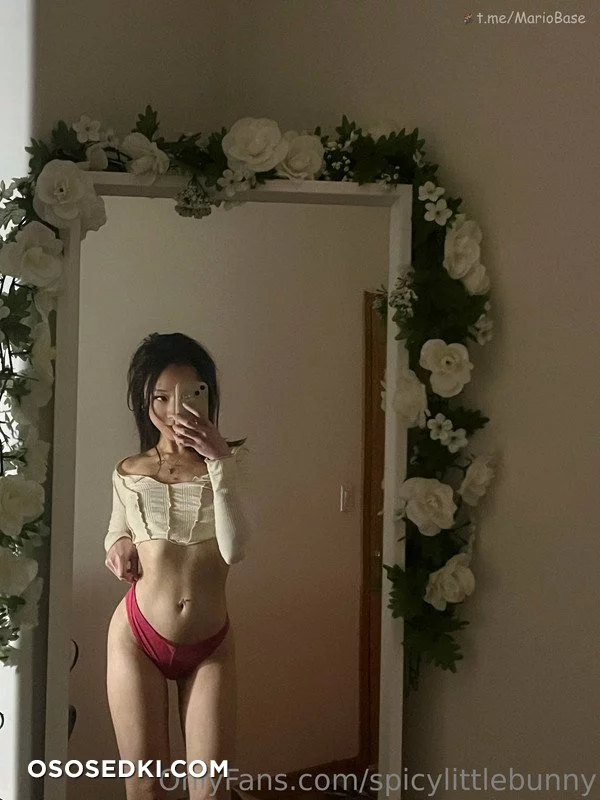 Mishka - spicylittlebunny - 11