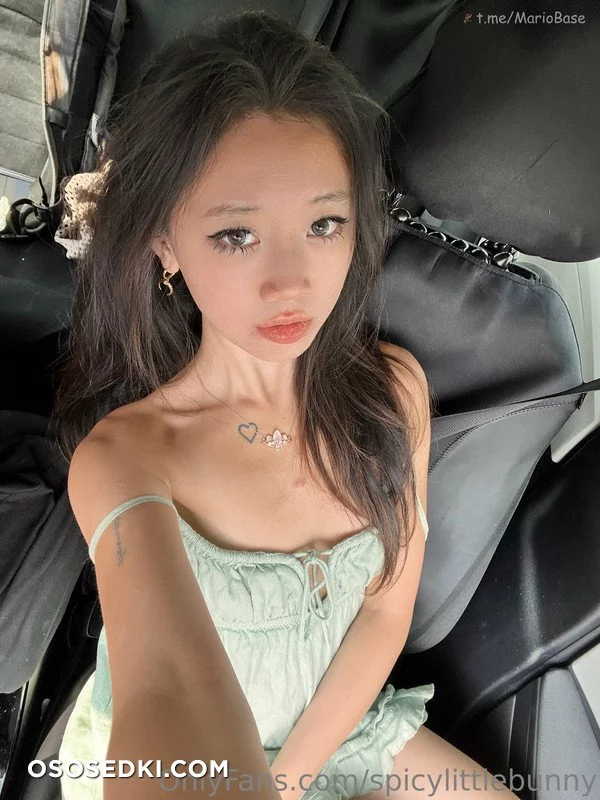 Mishka - spicylittlebunny - 18