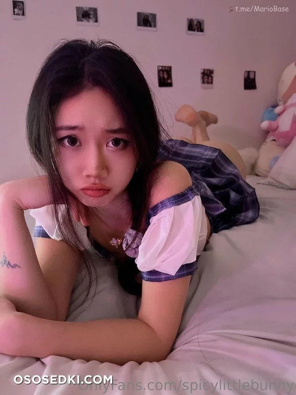 Mishka - spicylittlebunny - 19
