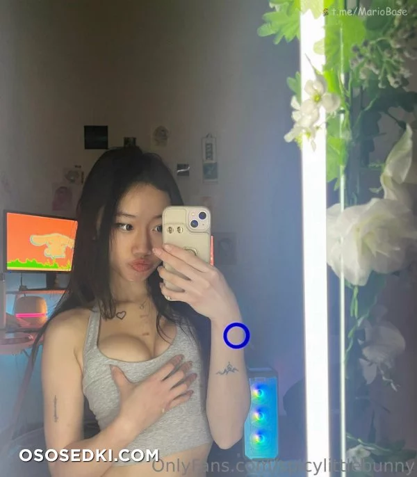 Mishka - spicylittlebunny - 90