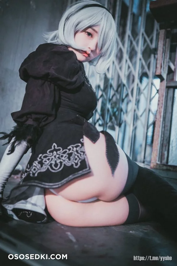 Jenny (정제니) - NieR Automata 2B - 10