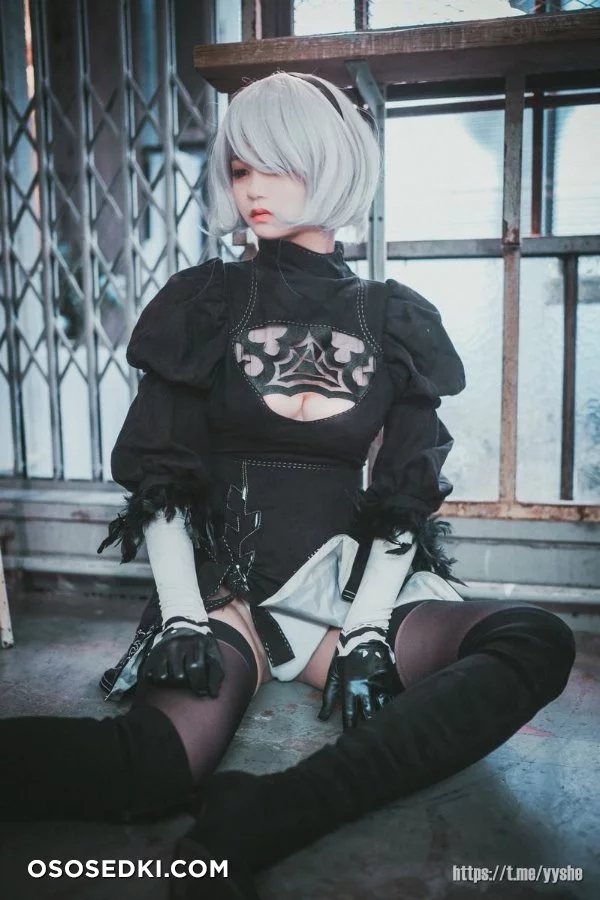Jenny (정제니) - NieR Automata 2B - 14