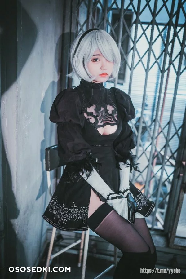 Jenny (정제니) - NieR Automata 2B - 18