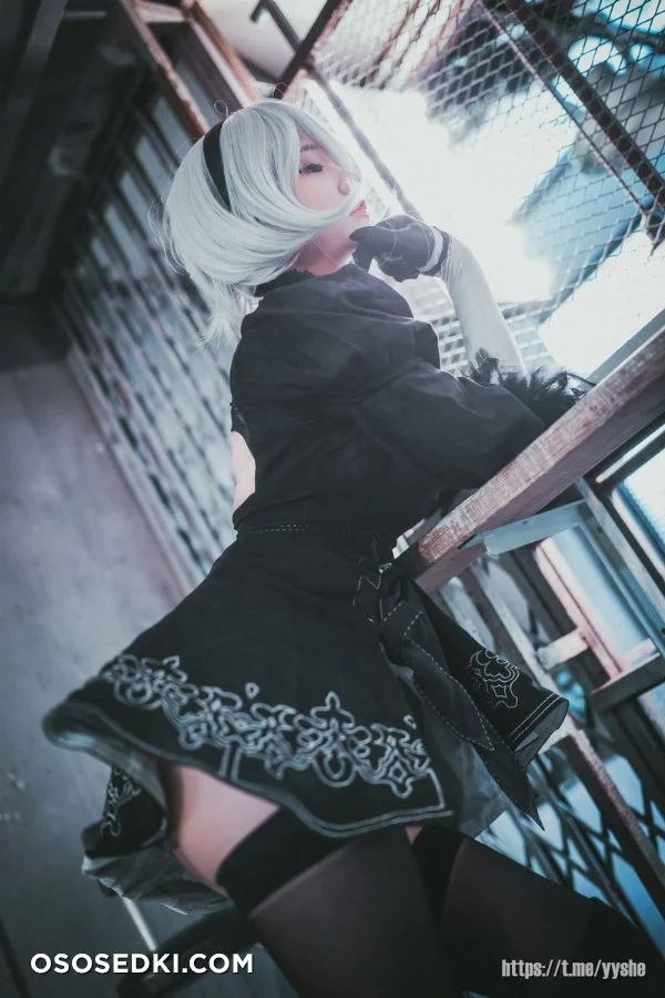 Jenny (정제니) - NieR Automata 2B - 21