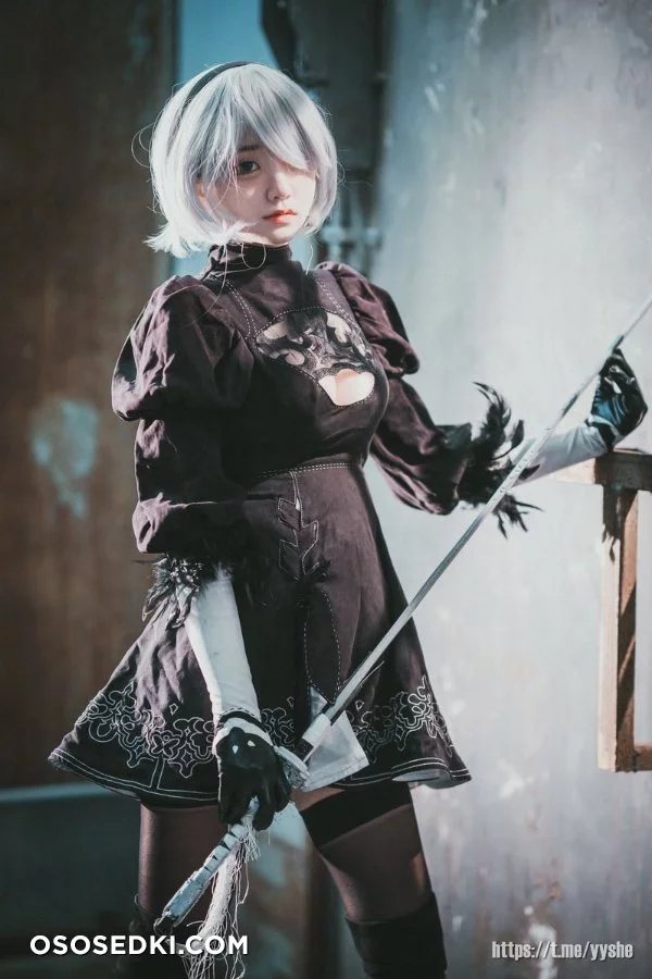 Jenny (정제니) - NieR Automata 2B - 24