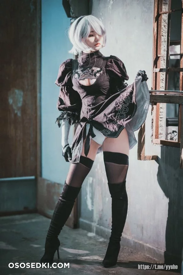 Jenny (정제니) - NieR Automata 2B - 27