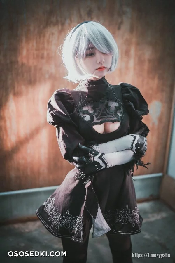 Jenny (정제니) - NieR Automata 2B - 29