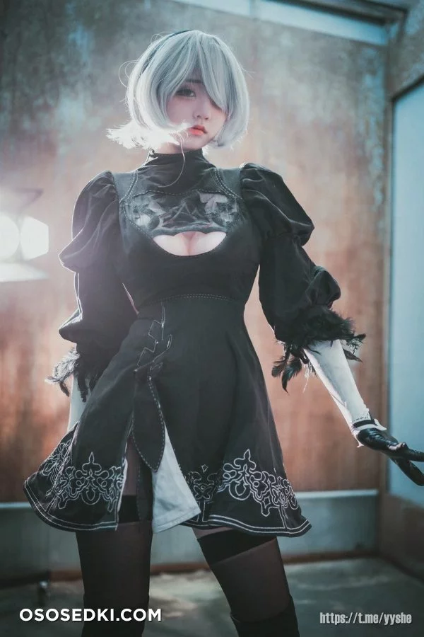 Jenny (정제니) - NieR Automata 2B - 30
