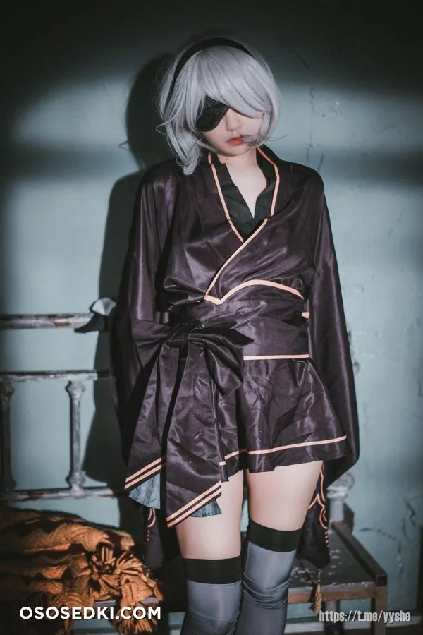 Jenny (정제니) - NieR Automata 2B - 34