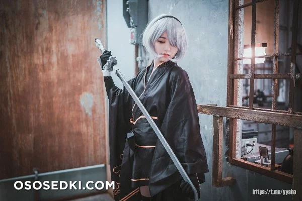 Jenny (정제니) - NieR Automata 2B - 40
