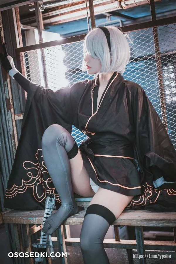 Jenny (정제니) - NieR Automata 2B - 45
