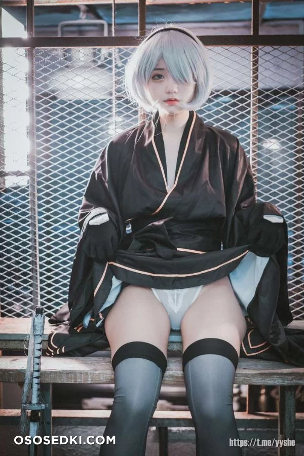 Jenny (정제니) - NieR Automata 2B - 46