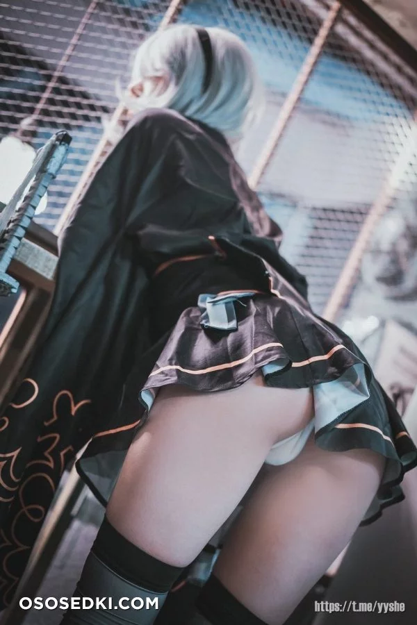 Jenny (정제니) - NieR Automata 2B - 47