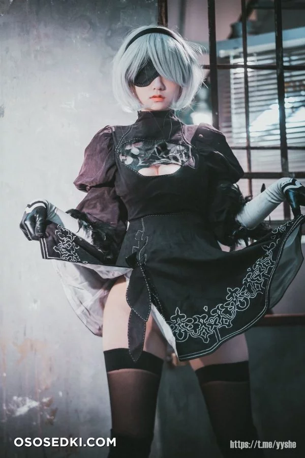 Jenny (정제니) - NieR Automata 2B - 9
