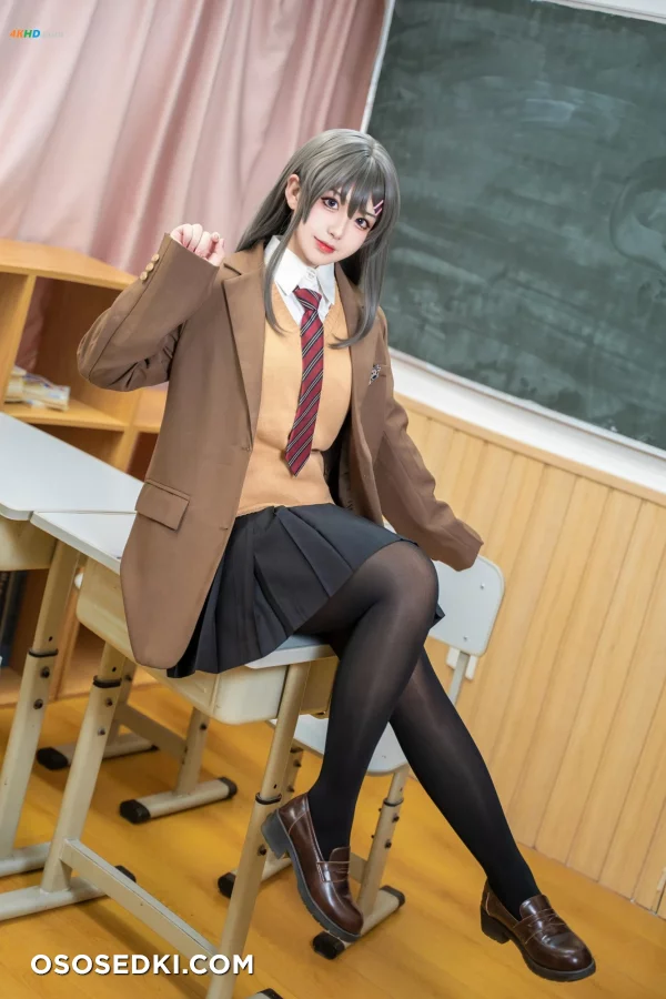 [虎森森] Sakurajima Mai - 4