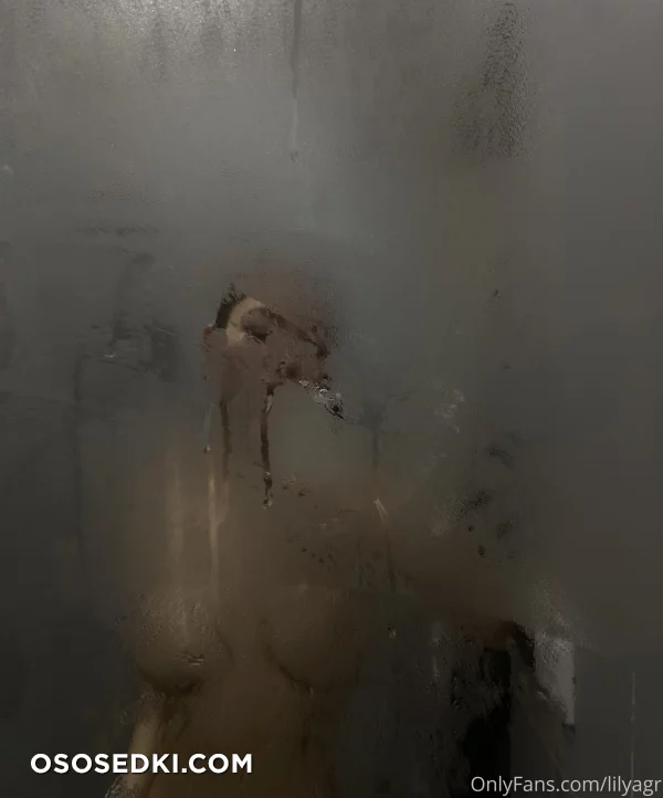 Lilyagr - 25