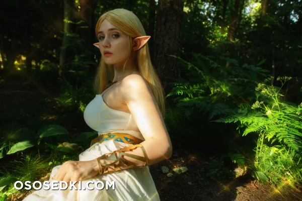 Jyusan - Princess Zelda - The Legend Of Zelda - 9