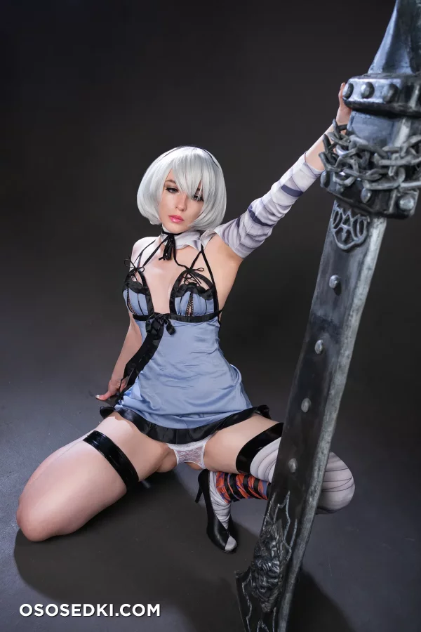 Flora Daria - 2b - Nier Automata - 13