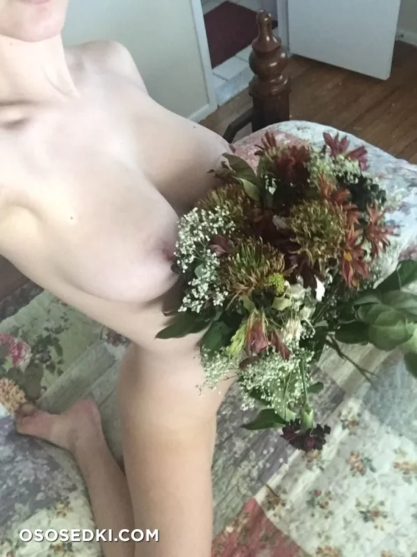Lacypet - 29