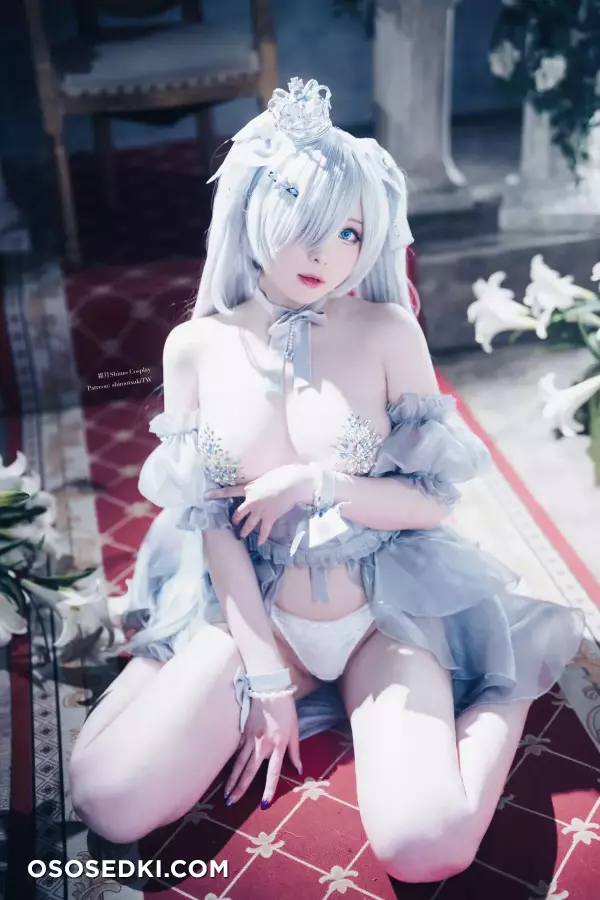 Shirolul - Cinderella - 16