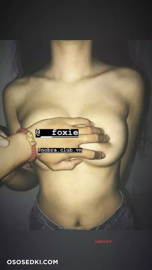 Foxie Vietnamese Onlyfans Leaked - 15