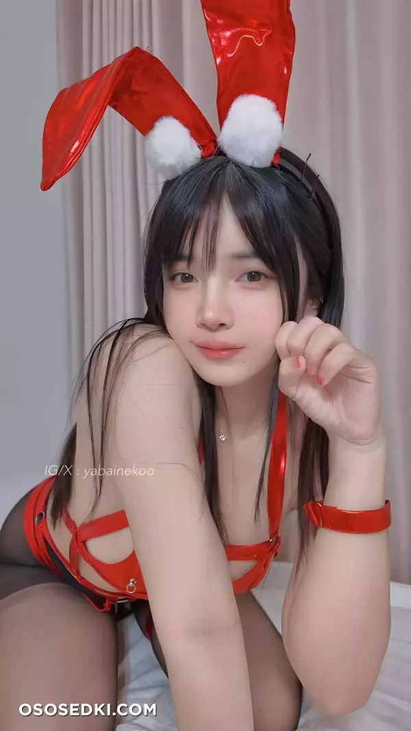 Menruinyanko - Red Bunny - 15