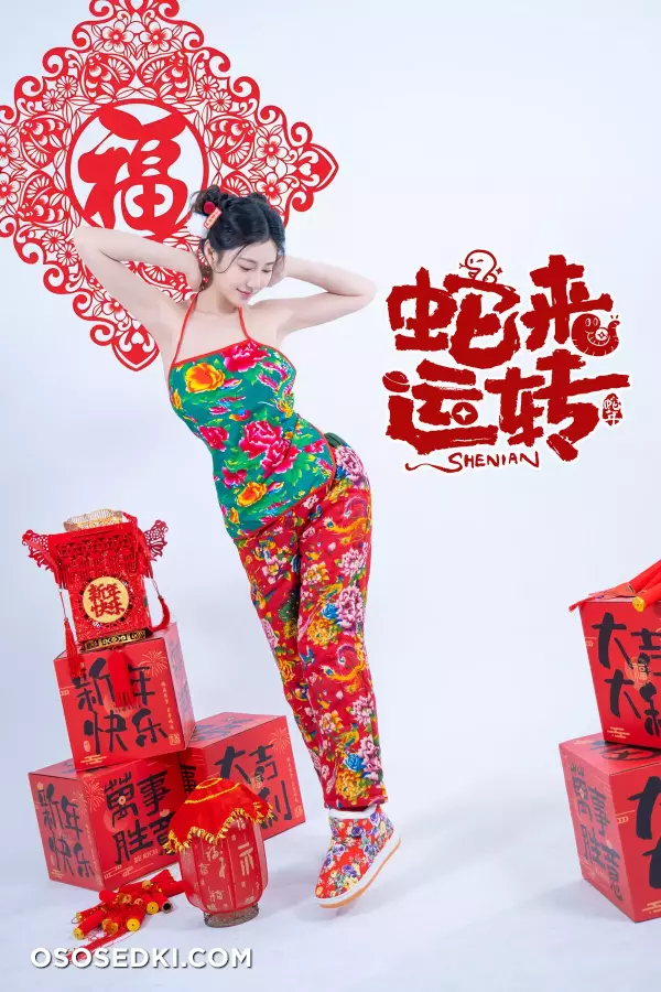年Nnian - 蛇来运转 - 13