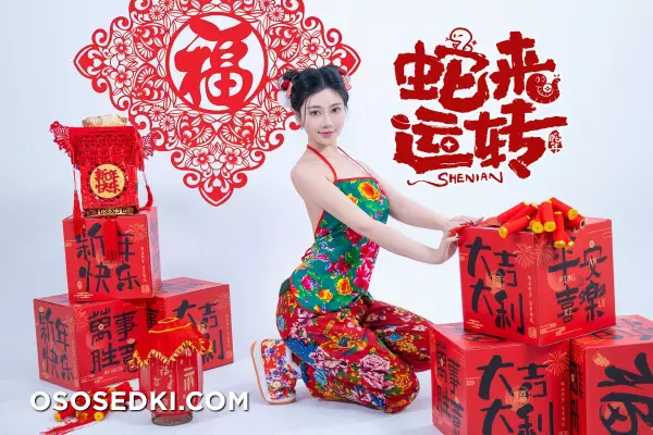 年Nnian - 蛇来运转 - 14