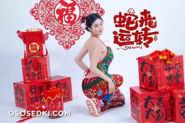年Nnian - 蛇来运转 - 15