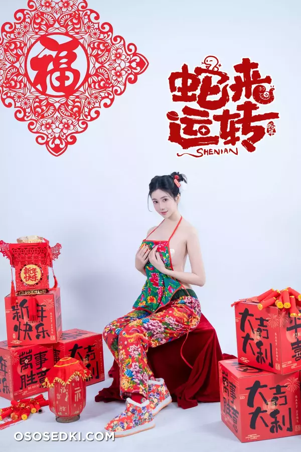 年Nnian - 蛇来运转 - 27