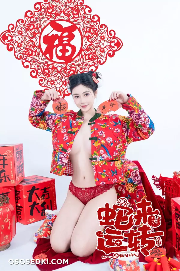 年Nnian - 蛇来运转 - 28