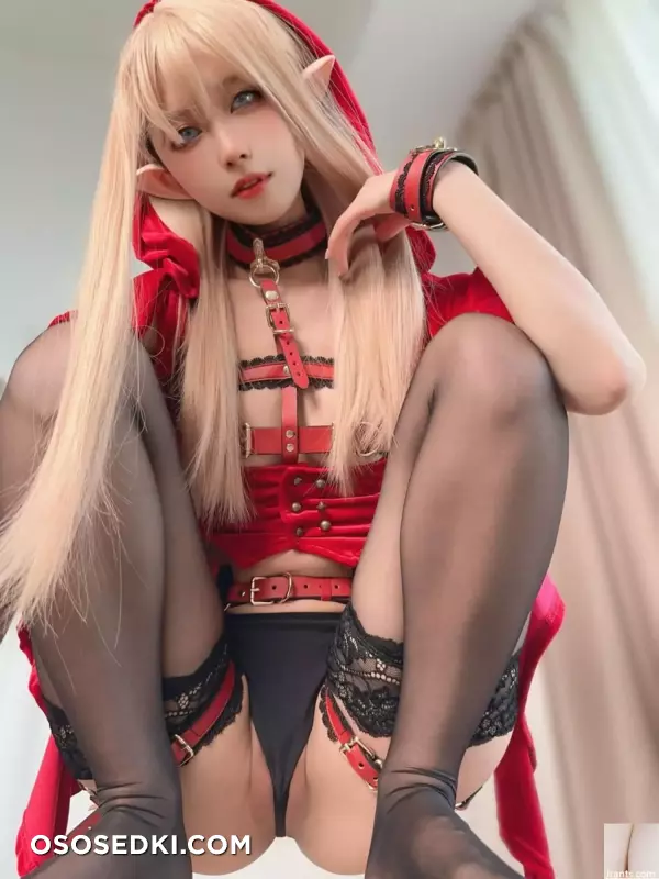 [网路收集] 福利少女 布丁大法《 小红hat 》VIP专属全 - 29