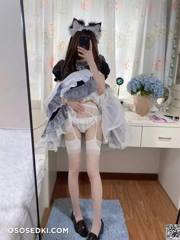[网路收集系列] 福利姬 仙仙桃《 猫耳女仆》大scaleVIP福利帖 - 16