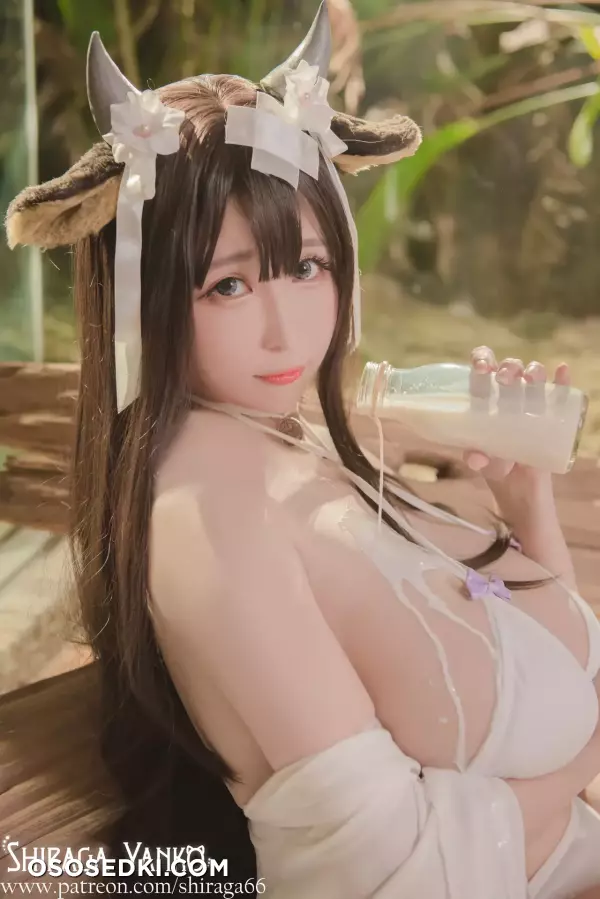 Shiraga Yanko - Kashino Azur Lane - 11