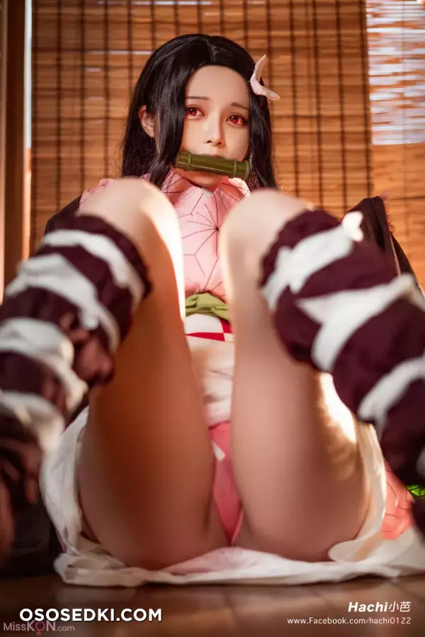 Hachi_小芭: 灶门祢豆子 - 11