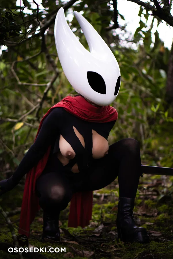Adventure Juntos - Hornet - Hollow Knight - 6