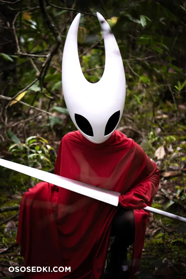Adventure Juntos - Hornet - Hollow Knight - 7
