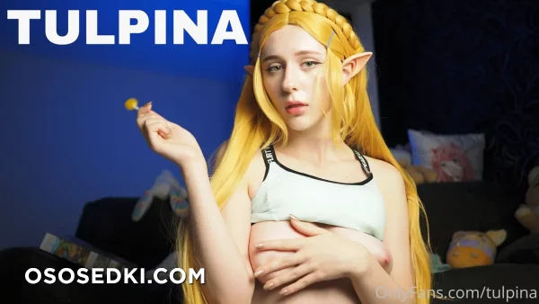 Tulpina - Princess Zelda - The Legend Of Zelda - 23