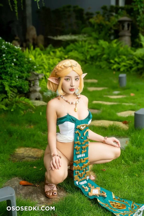 Yuumeilyn - Princess Zelda - The Legend Of Zelda - 12