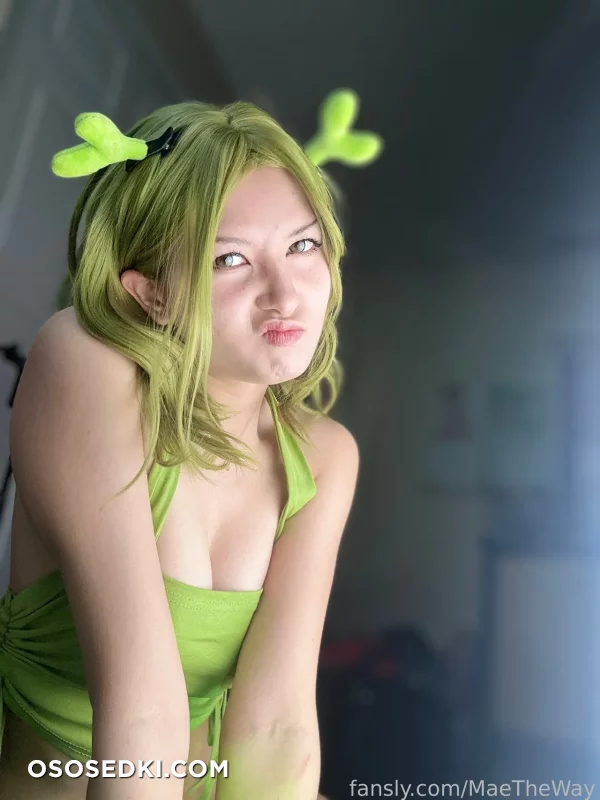 Mae The Way - Shrek - Shrek - 1