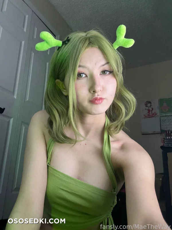 Mae The Way - Shrek - Shrek - 12