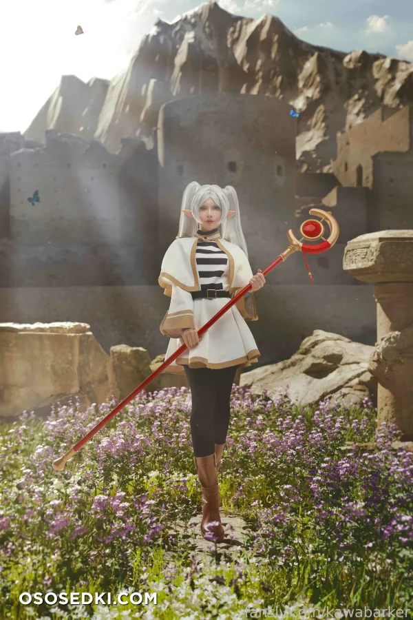 Zirael Rem - Frieren - Sousou No Frieren  Frieren Beyond Journeys End - 4