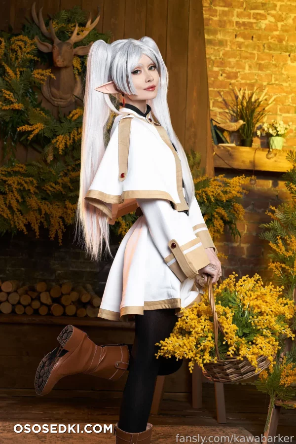 Zirael Rem - Frieren - Sousou No Frieren  Frieren Beyond Journeys End - 9