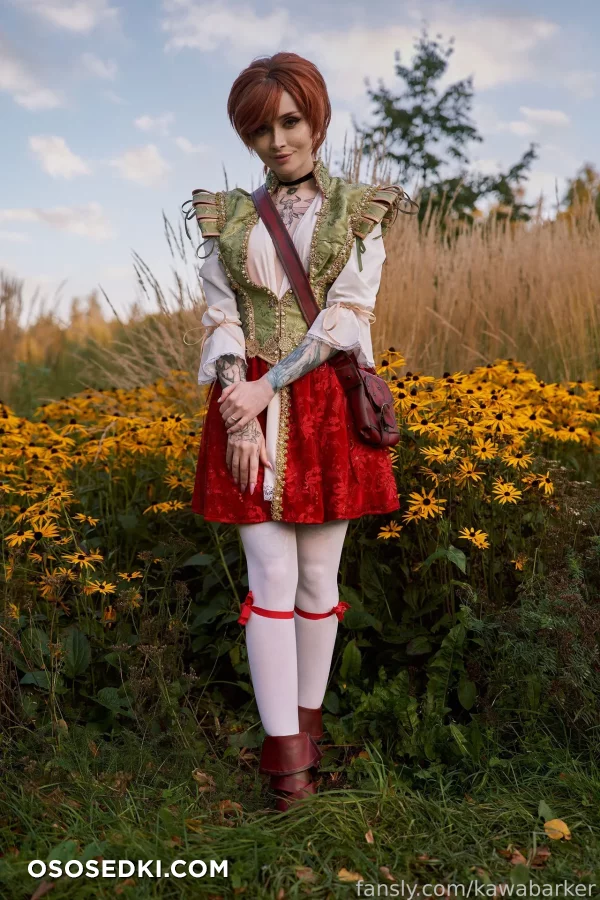 Zirael Rem - Shani - The Witcher - 15