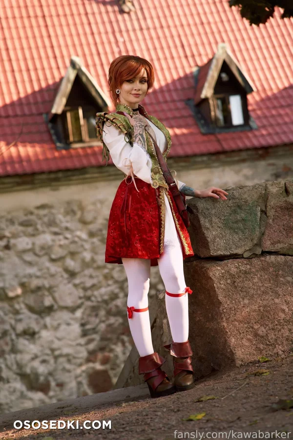 Zirael Rem - Shani - The Witcher - 4
