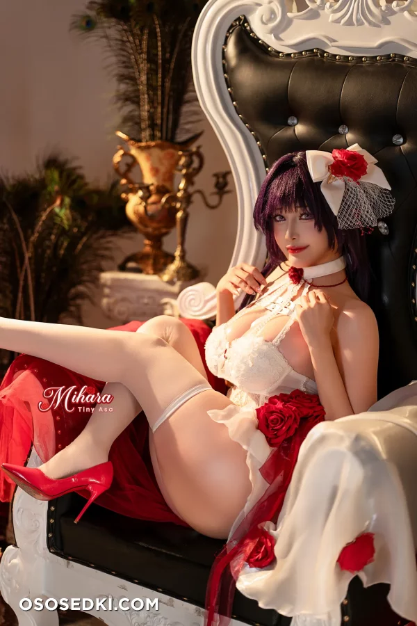 Tiny Asa - Mihara - Goddess Of Victory Nikke - 12